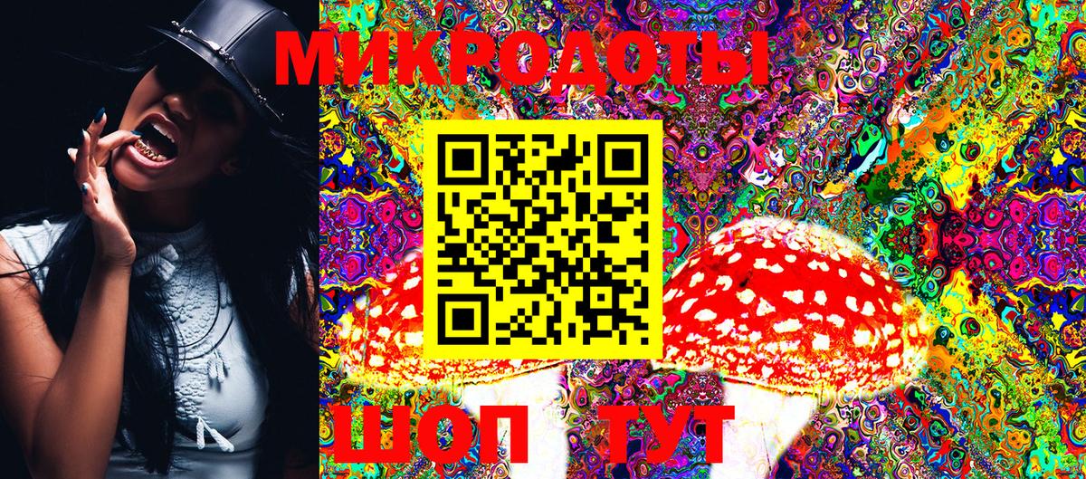 Саранск  Псилоцибиновые грибы Cubensis  где продают наркотики  Вход с VPN 